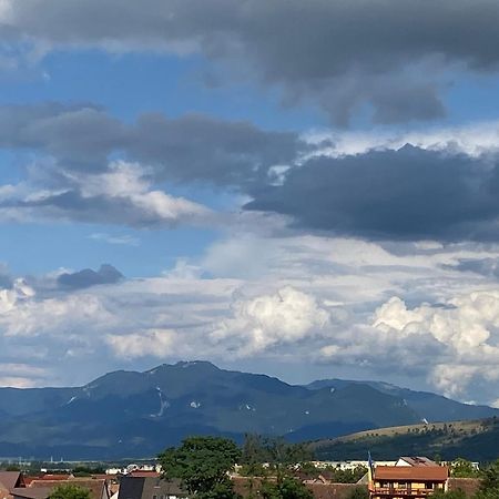 Vila Hora Craiului Zărneşti Bagian luar foto