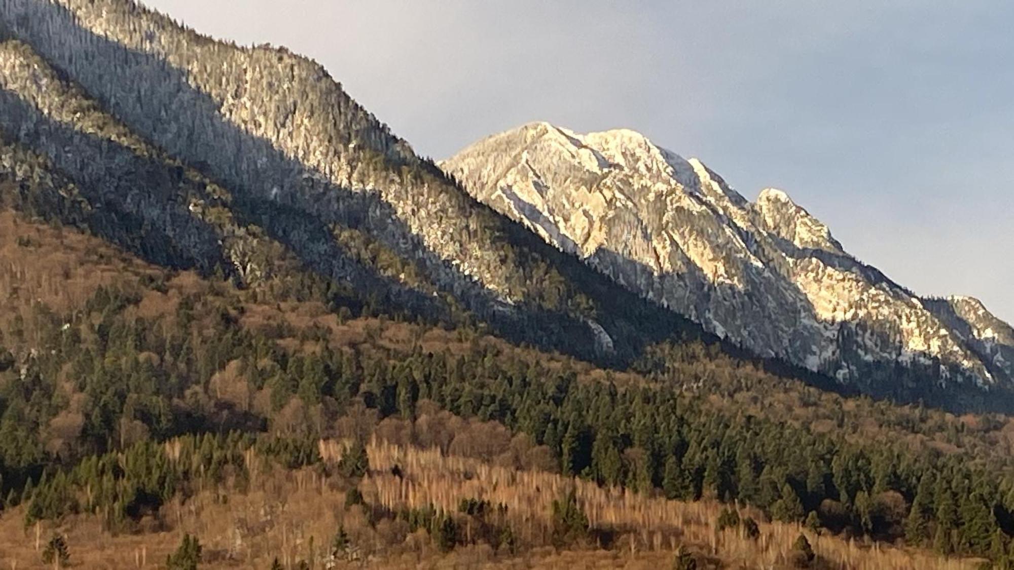 Vila Hora Craiului Zărneşti Bagian luar foto